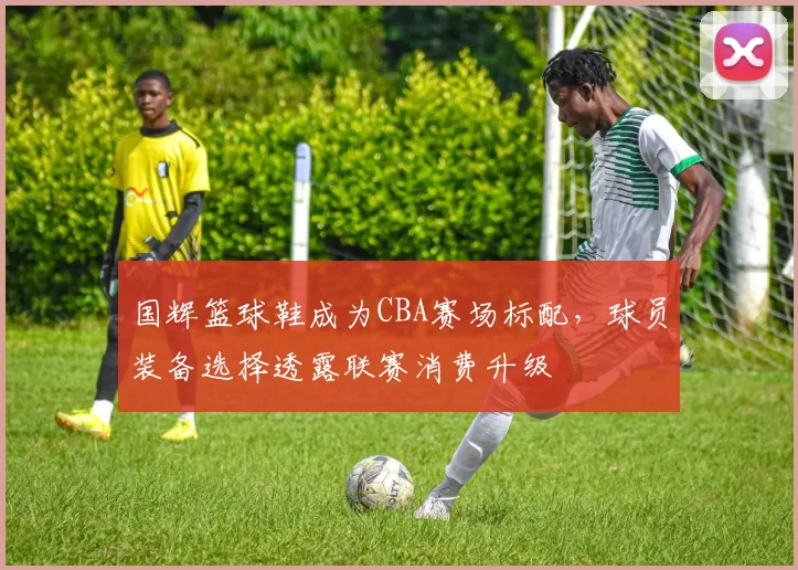 国辉篮球鞋成为CBA赛场标配，球员装备选择透露联赛消费升级