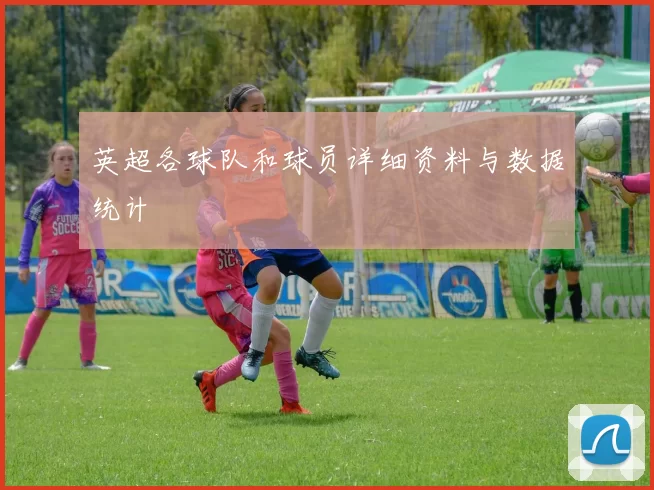 英超各球队和球员详细资料与数据统计