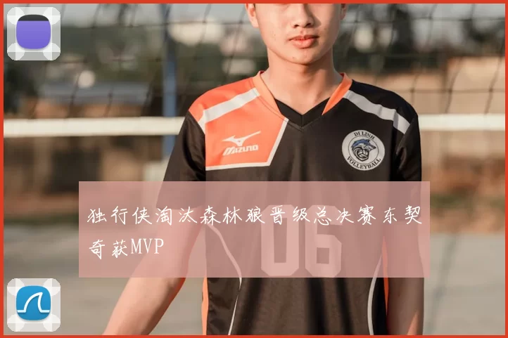 独行侠淘汰森林狼晋级总决赛东契奇获MVP