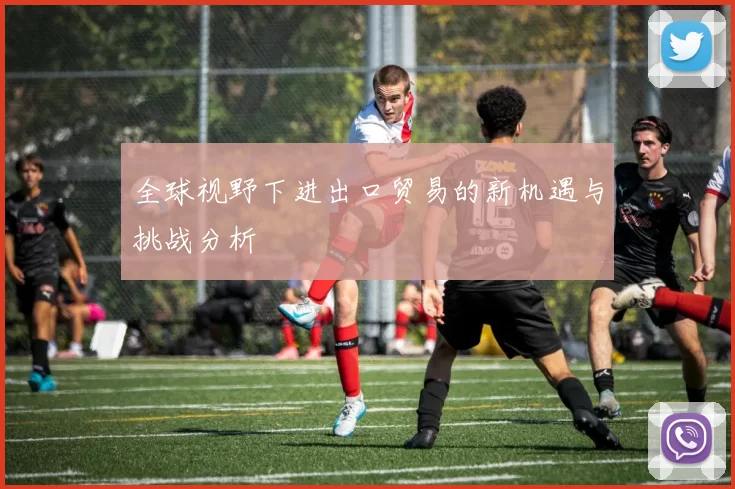 全球视野下进出口贸易的新机遇与挑战分析