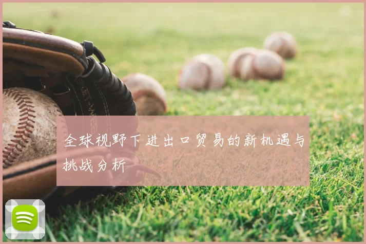 全球视野下进出口贸易的新机遇与挑战分析