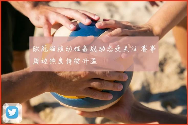 欧冠猫粮幼猫备战动态受关注 赛事周边热度持续升温