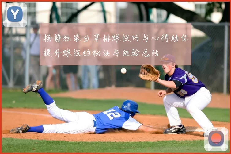 杨静独家分享排球技巧与心得助你提升球技的秘诀与经验总结