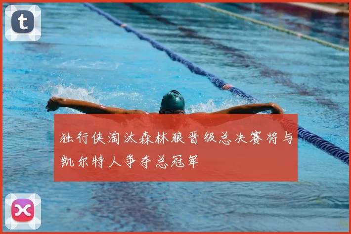 独行侠淘汰森林狼晋级总决赛将与凯尔特人争夺总冠军