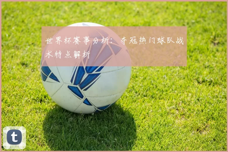 世界杯赛事分析:夺冠热门球队战术特点解析