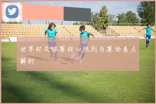 世界杯足球赛核心规则与赛场看点解析