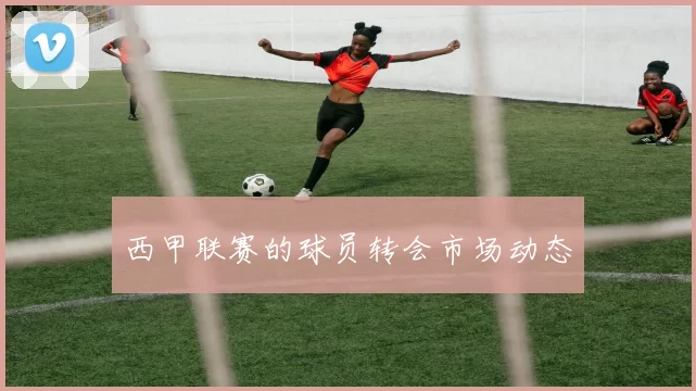 西甲联赛的球员转会市场动态