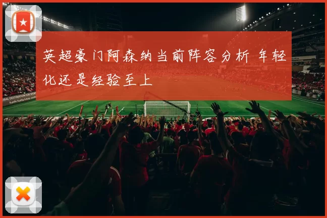 英超豪门阿森纳当前阵容分析 年轻化还是经验至上